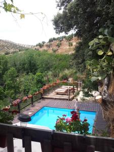 Accommodation in Algarinejo