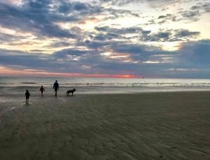 Maisons de vacances Les gites de la Courtille : photos des chambres