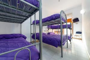 Bunk Bed in Mixed Dormitory Room room in Albergue las Veletas