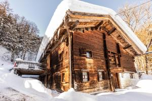 Chata Grubener Hof Steeg Rakousko