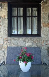 Sea View Apollo Apartments & Studios in Afytos Halkidiki Greece