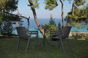 Sea View Apollo Apartments & Studios in Afytos Halkidiki Greece