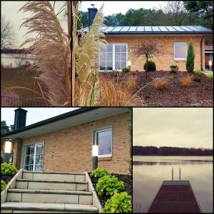 Ferienhaus Ferienhaus Seeblick Rheinsberg Deutschland