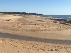 Appartements Appartement Figure de proue, pres Les Sables d Olonne, Talmont saint Hilaire : photos des chambres