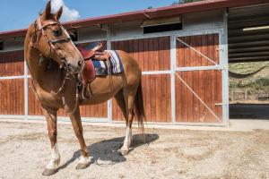 Agriturismo Goccia di Luna
