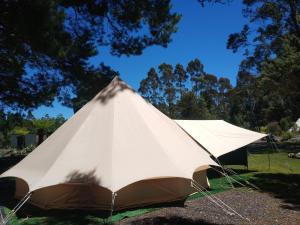 Glamping at Zeehan Bush Camp