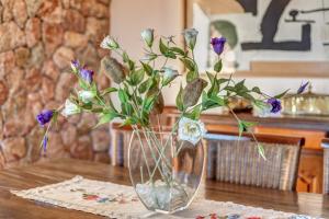 Es Coster de Na Llusia