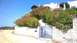 Villa Fanari in kanapitsa skiathos Skiathos Greece