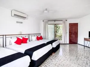 Hotel San Carlos - 蒂西明