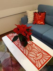 Apartament w Sercu Warmii II