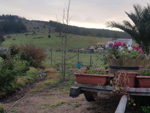 Centro Campestre Pequeño Faisán