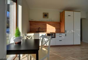 Apart-Invest Apartament Grottgera Studio 3