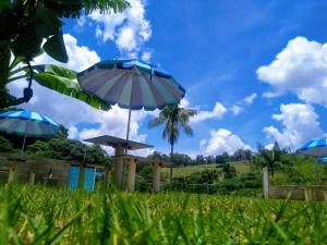 Escondidinho da Serra