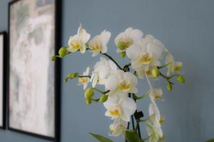 Aqualago casa vacanze apartment D