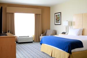 King Room - Disability Access room in Holiday Inn Express & Suites San Antonio Brooks City Base an IHG Hotel