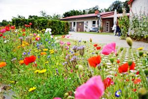 Ferienwohnungen auf dem Pommernhof
