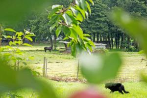 Ferienwohnungen auf dem Pommernhof