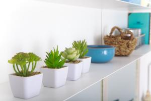 Sea & Wave Ventura Studio Apartment