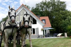 B&B / Chambres d'hotes La Garonde : Chambre Familiale avec Salle de Bains Privative