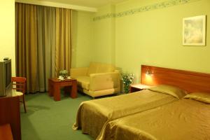 Single Room room in Business Hotel Premier