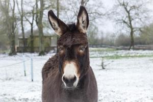 Sejours chez l'habitant Domaine des fees : photos des chambres