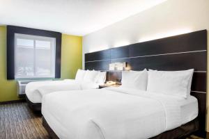 Queen Suite room in Holiday Inn Express & Suites - Albany Airport - Wolf Road an IHG Hotel