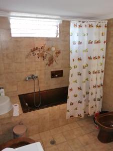 Villa Stefania - with Sea View Terrace