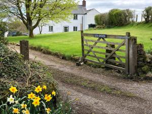 Ferienhaus Llys Onnen - North Wales Holiday Cottage Mold Grossbritannien