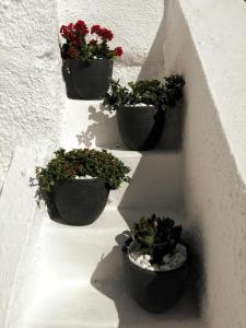 Santorinian Lava House Santorini Greece