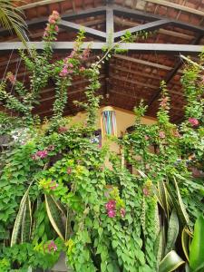 Pousada Casa da Gente