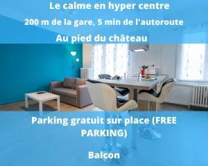 Appart'Hôtel de la Gare - 蒙贝利亚尔