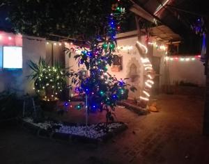 Casa de 2 dormitorios