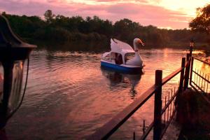 Pelican Lake safari resort