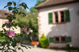 Appartements Gite **** Le Meyerhof : photos des chambres