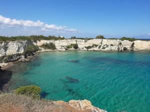 Azienda Agrituristica B&B La Torre