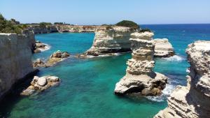 Azienda Agrituristica B&B La Torre