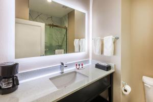 King Suite - Non-Smoking room in Super 8 by Wyndham Kingwood Houston North