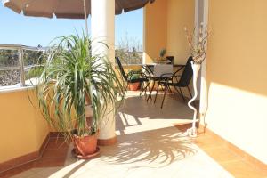 Apartments Mediterraneo - with own parking space