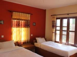 Jungle Wildlife Camp