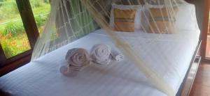 Khao Sok Blue Mountain