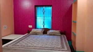 Vamoose Mangrove Pitta - Righāgarh