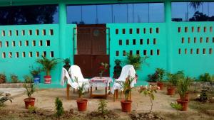 Mangrove Pitta - Bhitarkanika