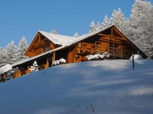 Penzion Penzion Ve Srubu Horní Radechová Česko