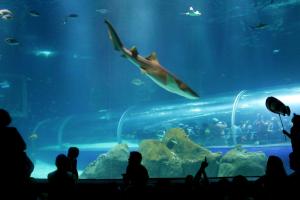 Copacabana lovely Apto.