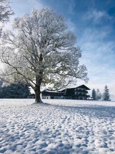 3 gwiazdkowy hotel Kraftplatz am Dachstein - Bio Hotel Herold Ramsau am Dachstein Austria