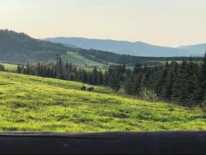 NATURA PARK BIESZCZADY - DOMKI CAŁOROCZNE