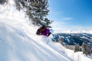 Winklers Gipfelblick Chalet, inklusive Alpentherme - Ganzjährig, Gasteiner Bergbahn - nur Sommer