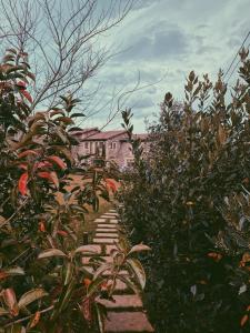 La Fuentona de Santillana