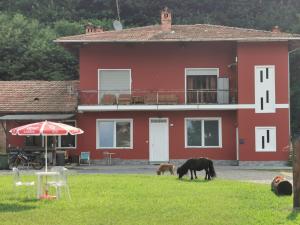 The Horse