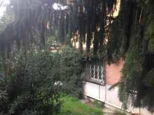 A few steps from Villa Ada 6